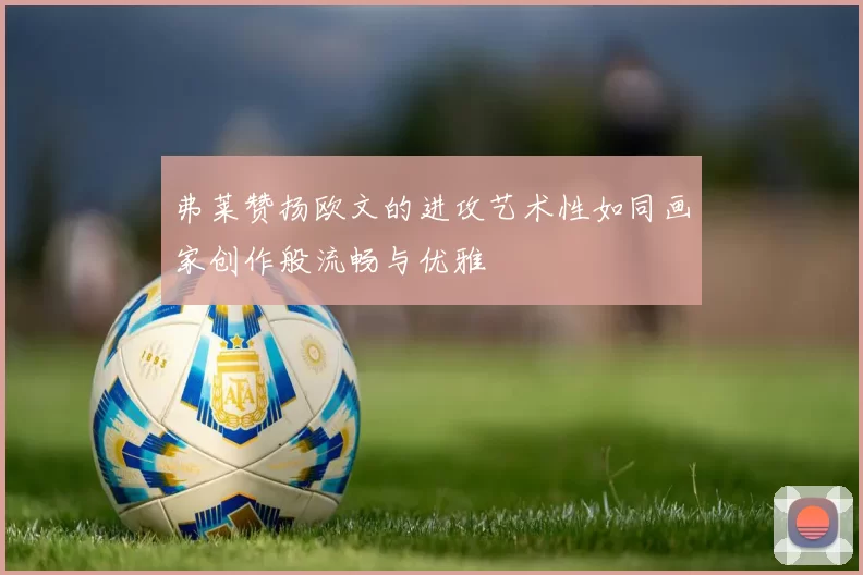 弗莱赞扬欧文的进攻艺术性如同画家创作般流畅与优雅